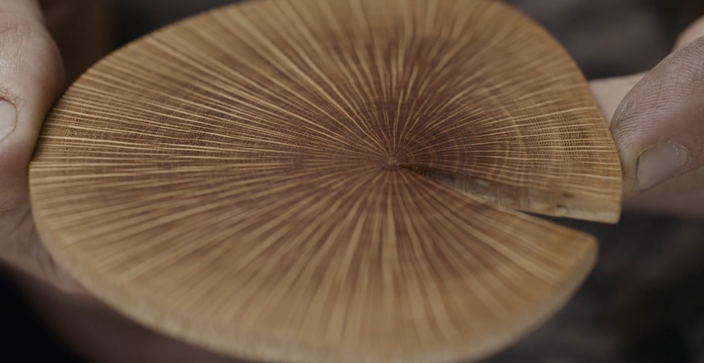 Macadamia Change Makers take centre stage in new campaign Australian